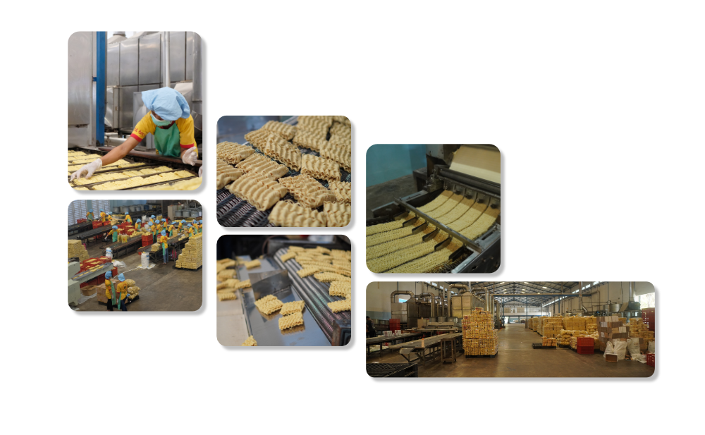 Production Facility